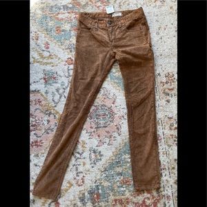 Free People Cord pants